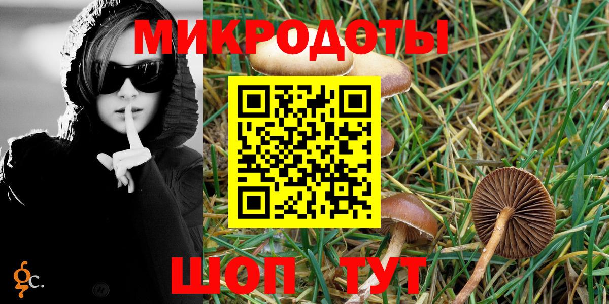 Псилоцибиновые грибы Cubensis  Вход с VPN  Боровичи 