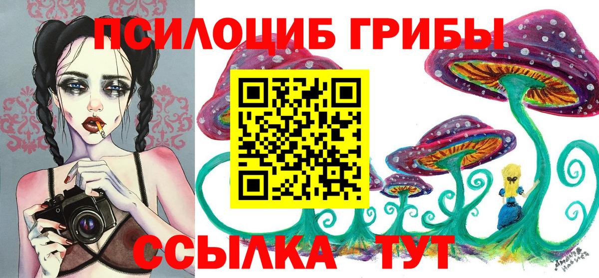 Псилоцибиновые грибы Psilocybine cubensis Боровичи
